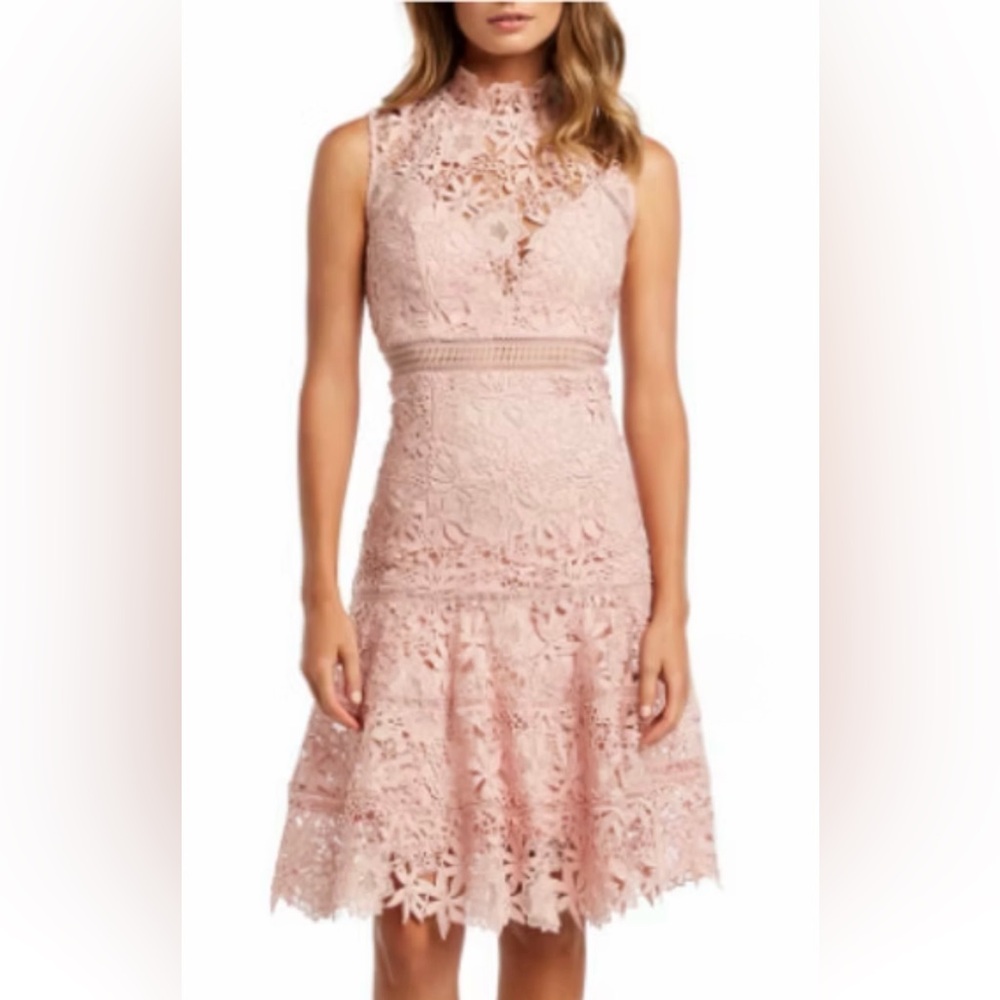 Bardot Elise Lace Cocktail Dress Blushy – Elegant & Timeless